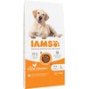 Karma dla psa IAMS For Vitality z Kurczakiem 12 kg Smak Kurczak