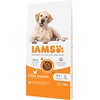 Karma dla psa IAMS For Vitality z Kurczakiem 12 kg Typ Sucha