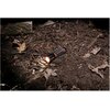 Latarka BLACK+DECKER 235141 Typ Taktyczna