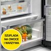 Lodówka ELECTROLUX LRT7ME39X 186cm Stal szlachetna Liczba drzwi 1