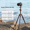 Statyw K&F CONCEPT T254A4 + BH-28L Nazwa Cross Global GmbH