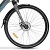 Rower elektryczny ARGENTO Alpha M20 28 cali męski Szary Waga [kg] 25