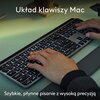Zestaw LOGITECH MX Keys S Combo for Mac Szary Podświetlenie Tak