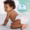 Pieluchy PAMPERS Harmonie Baby 1 (35 szt.) Informacje dodatkowe Szybkoschnący wkład pieluszki natychmiast wchłania wilgoć