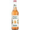 Pure do lemoniady MONIN Brzoskwinia i Morela 700 ml