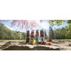 Blender personalny CONCEPT Smoothie FitMaker SM4002 Bezprzewodowy Niebieski Blendowanie w próżni Nie