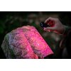 Latarka LED NEWELL EDC Nyks Solid NL4109 (Czarny) Wymiary [mm] 15 x 37 x 57