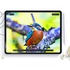 Folia ochronna HOFI Paper Pro+ do Apple iPad Air 13 2024 (2szt.) Cechy dodatkowe Zachowanie pełnej wrażliwości ekranu