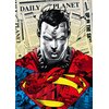 Puzzle TREFL Premium Plus Quality DC Superman 10884 (1000 elementów) Seria Premium Plus Quality
