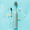 Oryginalna końcówka do szczoteczki SEYSSO Basic Color (2 szt.) Aqua Grey (Docierają do trudno dostępnych miejsc) Rodzaj produktu Końcówka do szczoteczki sonicznej