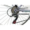 Rower miejski z koszykiem ESPERIA Scirocco Siviglia 6B 26 cali damski Szaro-zielony Typ roweru Miejski