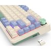 Klawiatura REDRAGON K673CPG-RGB-PRO Ucal Pro Typ klawiatury Mechaniczna