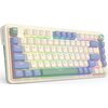 Klawiatura REDRAGON K673CPG-RGB-PRO Ucal Pro Komunikacja z komputerem Bezprzewodowa