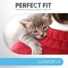 Karma dla kota PERFECT FIT Junior Kurczak (2 x 750 g) Waga 1.5 kg