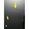 Lodówka SAMSUNG RB38T635ES9 EF No frost 203cm Srebrna Podajnik wody All-Around Cooling Szybkie zamrażanie Tak