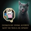 Karma dla kota SHEBA Finesse Łosoś 85 g Specjalne wymagania Układ moczowy
