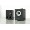 Subwoofer PYLON AUDIO Pearl Sub Czarny jesion Typ subwoofera Aktywny