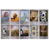 Wkłady do aparatu FUJIFILM Instax Mini Stone Gray 10 arkuszy Zastosowanie Instax Mini