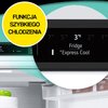 Lodówka LG GBV3110EPY No Frost 186cm Srebrna NatureFresh LinearCooling Kolor / wykończenie frontu Srebrny