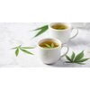 Herbata HEMPFARM Konopna z CBD (20 sztuk) Aromat Konopny