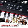 Pianino cyfrowe DNA PP 88 Czarny Efekty Dual