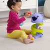 Zabawka edukacyjna FISHER PRICE Pets Kocia wieża HTW92 Wiek 9 m+