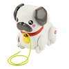 Zabawka FISHER PRICE Pets Spacerowy Mopsik HTW94 Płeć Chłopiec