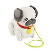 Zabawka FISHER PRICE Pets Spacerowy Mopsik HTW94 Płeć Dziewczynka