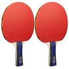 Zestaw do ping ponga JOOLA Family Sport Ping pong