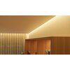 Taśma LED PHILIPS HUE White and color Ambiance 10m Bluetooth Ściemnianie Tak