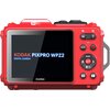 Aparat KODAK WPZ2 Czerwony + bateria + karta pamięci 16GB + karta pamięci 64GB Rodzaj matrycy BSI-CMOS