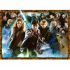 Puzzle RAVENSBURGER Harry Potter Znajomi z Hogwartu (1000 elementów) Rodzaj Tradycyjne