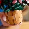 LEGO 10370 ICONS Botanicals Gwiazda Betlejemska Płeć Damska