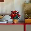 LEGO 10370 ICONS Botanicals Gwiazda Betlejemska Liczba figurek [szt] 0