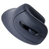 Mysz GEMBIRD MUSW-ERGO-03