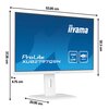 Monitor IIYAMA ProLite XUB2497HSN-W1 23.8" 1920x1080px IPS 100Hz 1 ms [MPRT] Przeznaczenie Do domu i biura