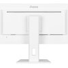 Monitor IIYAMA ProLite XUB2497HSN-W1 23.8" 1920x1080px IPS 100Hz 1 ms [MPRT] Zastosowanie Do domu i biura