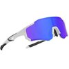 Okulary rowerowe ROCKBROS 10183 Niebieski Typ Dla dorosłych
