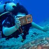 Etui wodoodporne TECH-PROTECT IPX8 Universal Diving Waterproof Case Czarno-pomarańczowy Marka telefonu Uniwersalny