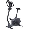 Rower magnetyczny KETTLER Giro M Rodzaj roweru Pionowy