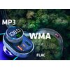 Transmiter FM XBLITZ X450 Wejście AUX Nie