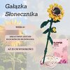 Klocki plastikowe QBI Gałązka słonecznika 1081285 Wiek 6+