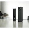 Kolumna głośnikowa PYLON AUDIO Opal 20 Czarny jesion (1 szt.) Pasmo przenoszenia [Hz] 38 - 20000