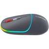 Mysz CANYON MW-22 Szary Rozdzielczość 800 dpi