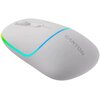 Mysz CANYON MW-22 Biały Rozdzielczość 1200 dpi