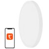 Lampa sufitowa NEWELL Asteria NL4025