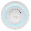 Lampa sufitowa NEWELL Asteria NL4025 Rodzaj produktu Lampa sufitowa