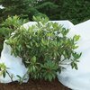 Agrowłóknina osłaniająca AGRIMPEX zimowa 1.6 x 5 m A0046 Gwarancja 24 miesiące