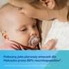Smoczek CANPOL BABIES Light touch 18 m+ Symetryczny Różowo-złoty (2 sztuki) Liczba sztuk w opakowaniu 2