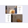 Gniazdko SONOFF S60TPF Wi-Fi Współpraca z systemami IFTTT